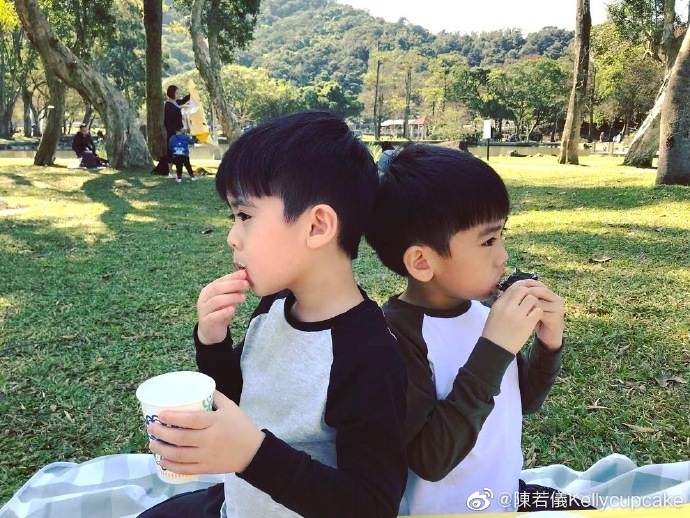 林志穎老婆帶雙胞胎兒子野餐，兄弟倆一黑一白，性格長相差異明顯