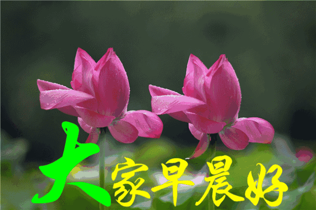 每天一句简单的问候语 早上好祝福短句子图片