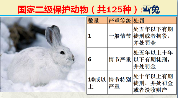 国家最新125类二级野生保护名录，图片及违法对应刑责