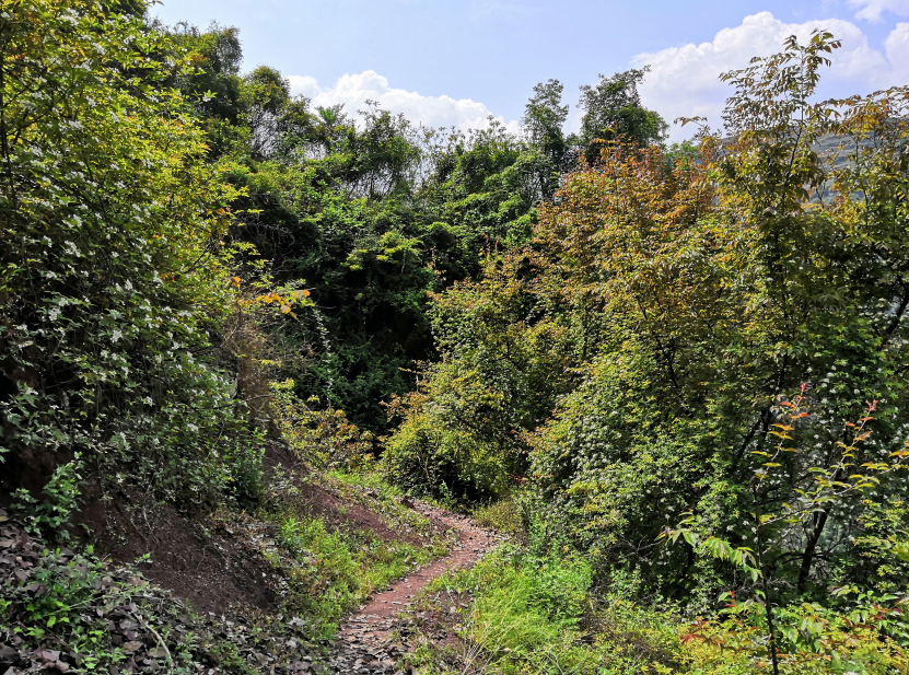 奉节县石岗乡一个山清水秀人杰地灵的地方，春天景色正美