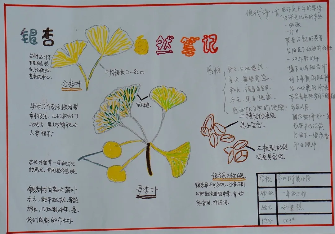 玩转科技节，开广好奇心——天府新区华中附小首届科创节活动