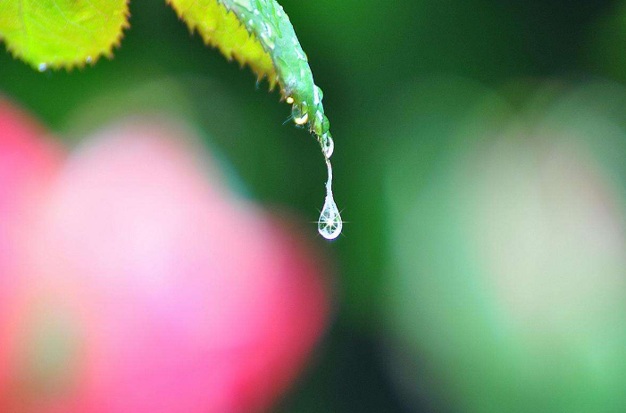 阳光总在风雨后 人生终有暖晴天，那些雨晴的诗词，道尽人生哲理-第2张图片-非凡网