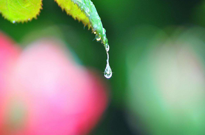 阳光总在风雨后 人生终有暖晴天，那些雨晴的诗词，道尽人生哲理