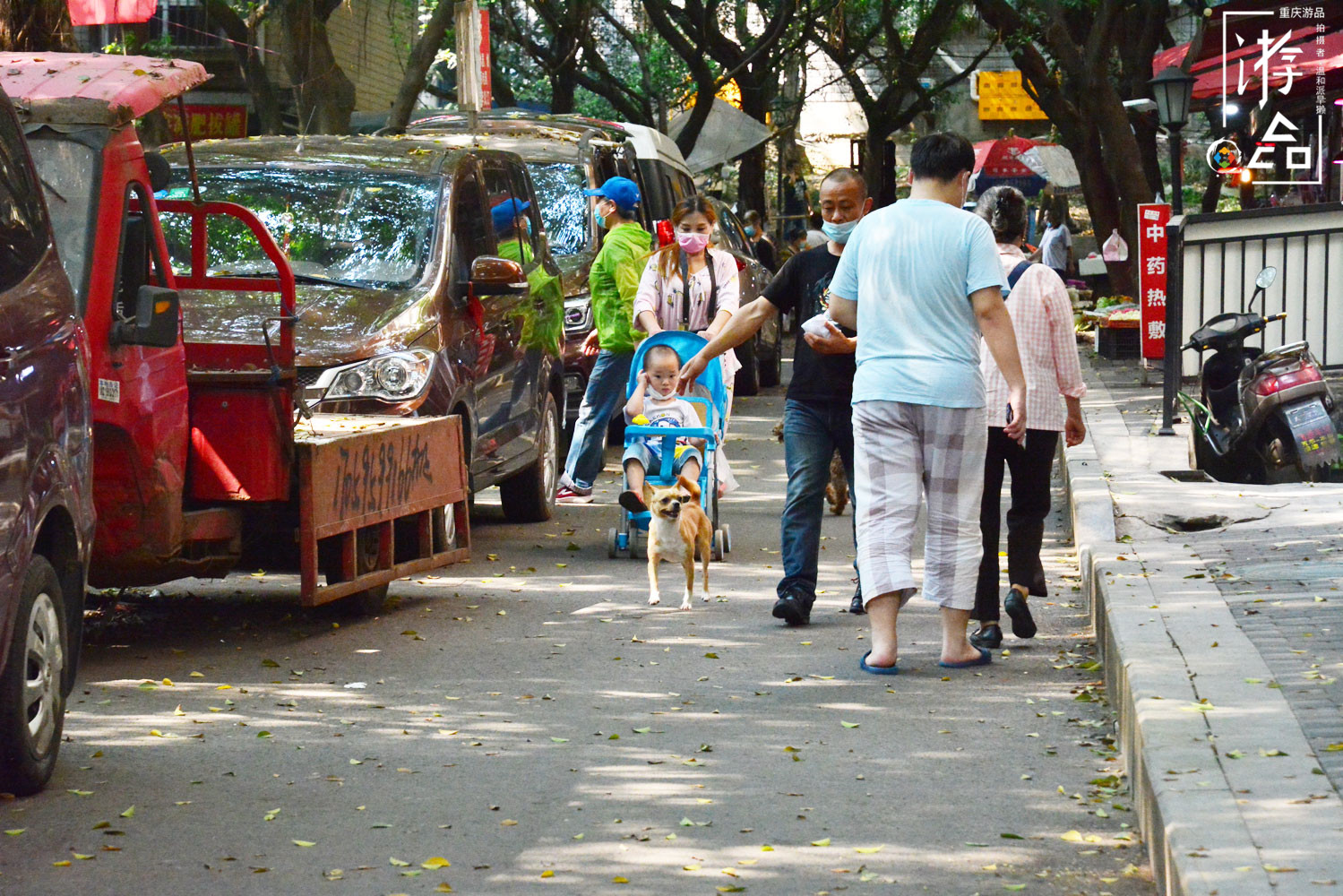 重庆主城最“低调”的轨道桥：高家花园大桥，连接沙坪坝与江北