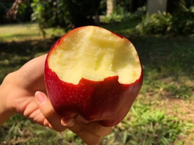 一种水果两种吃法，可粉可脆，花牛苹果为什么是苹果界最佳？