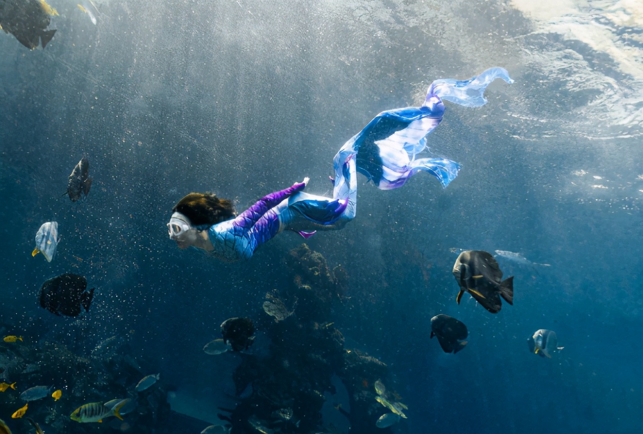 張柏芝錄節目倆兒子出鏡，Lucas顯成熟，二兒子成迷你版謝霆鋒