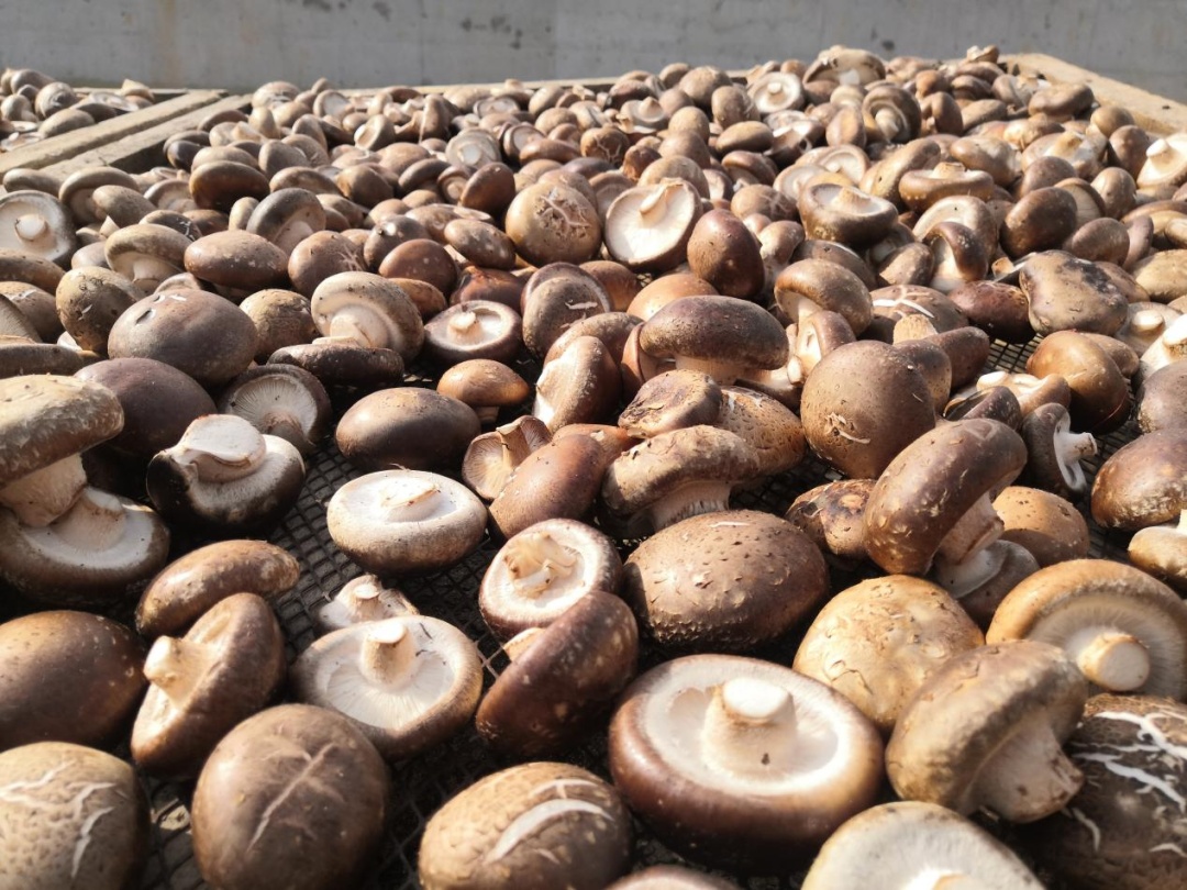 �׽����������Ļ����ν����湥�ԡ��ʺ�����