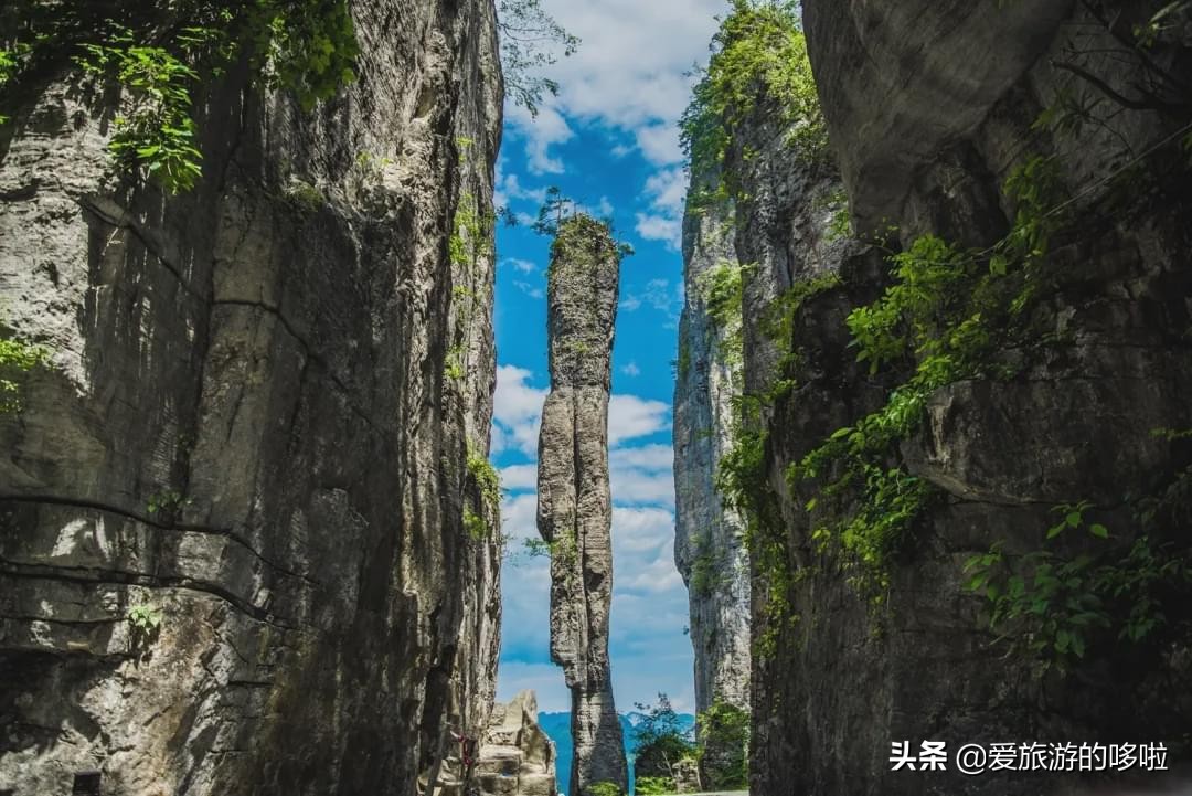 The best place to travel in October-November, the late autumn tour bus is about to depart