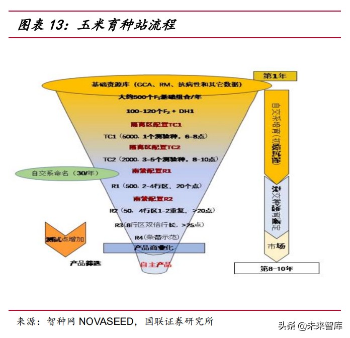 农林牧渔行业研究：周期伴成长共舞，玉米种子行业花期已至