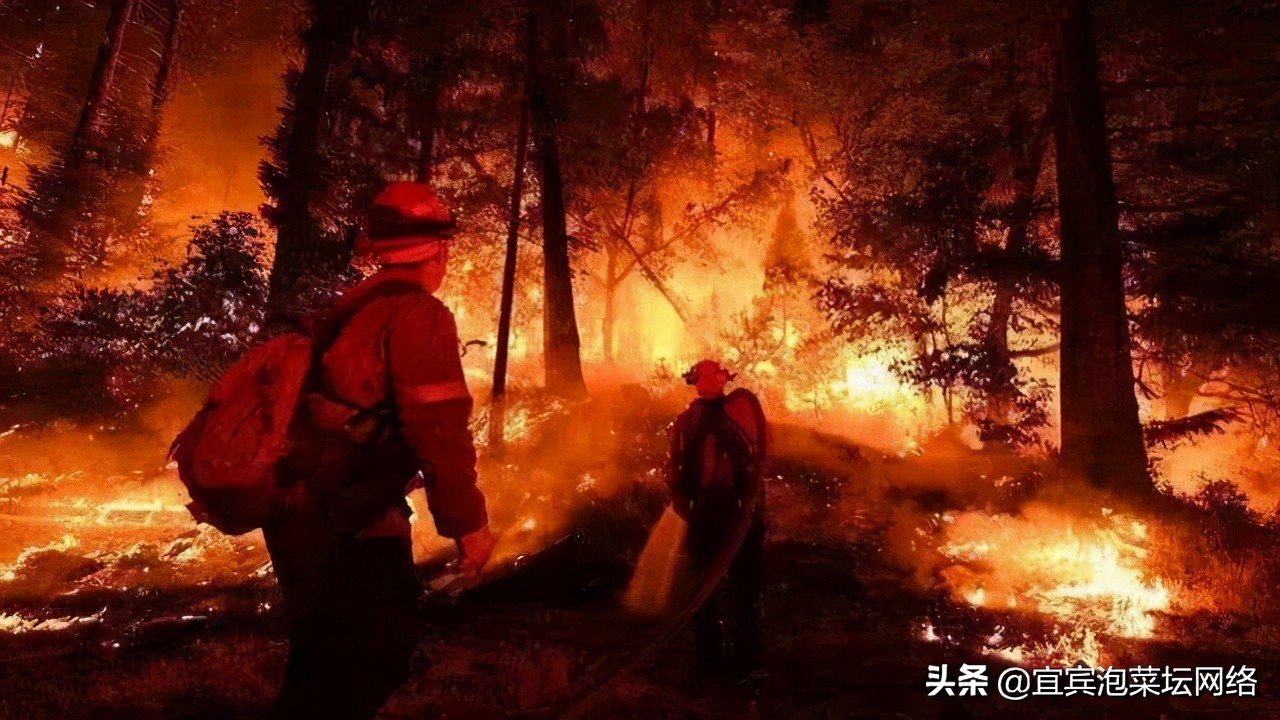 “防”字当头，宜宾防火令“升级”！今年有些不一样