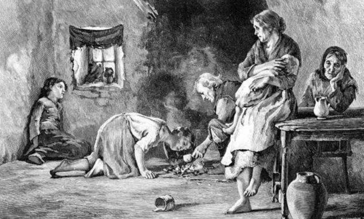 移民欧洲的土豆，遭嫌弃吃了会得麻风病，却给了工业革命临门一脚