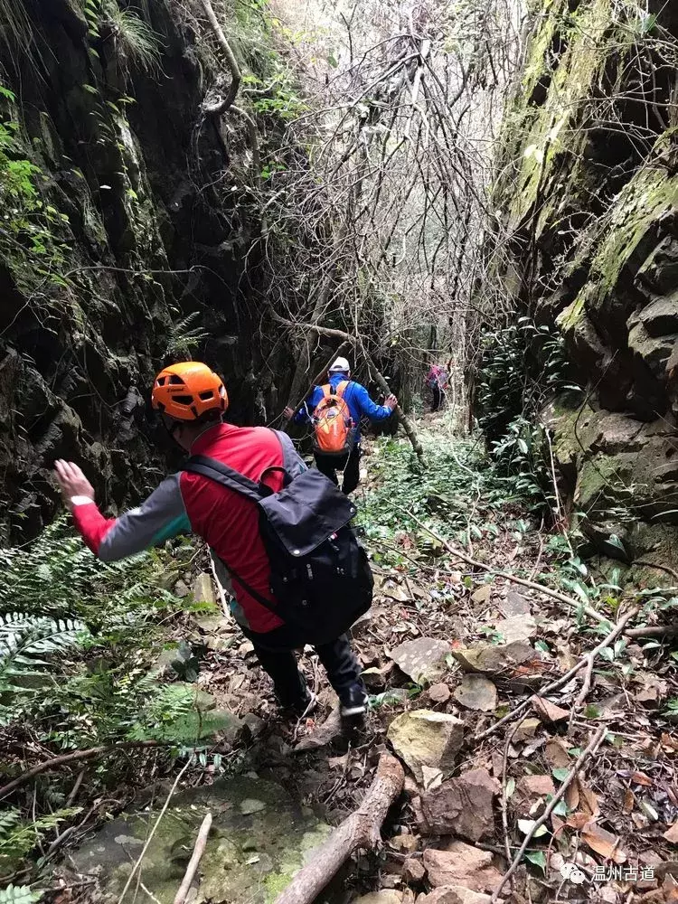 十八洞、迷魂谷、显胜门......雁荡险峰风光无限美!
