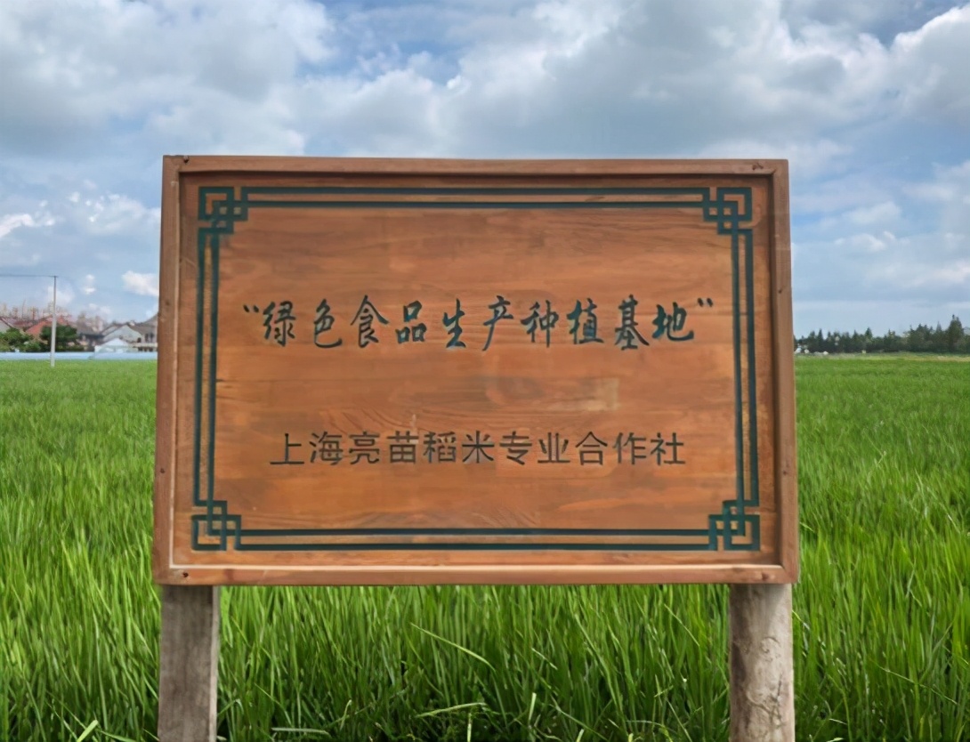上海“亮苗大米”入围央视广告精选，权威展播