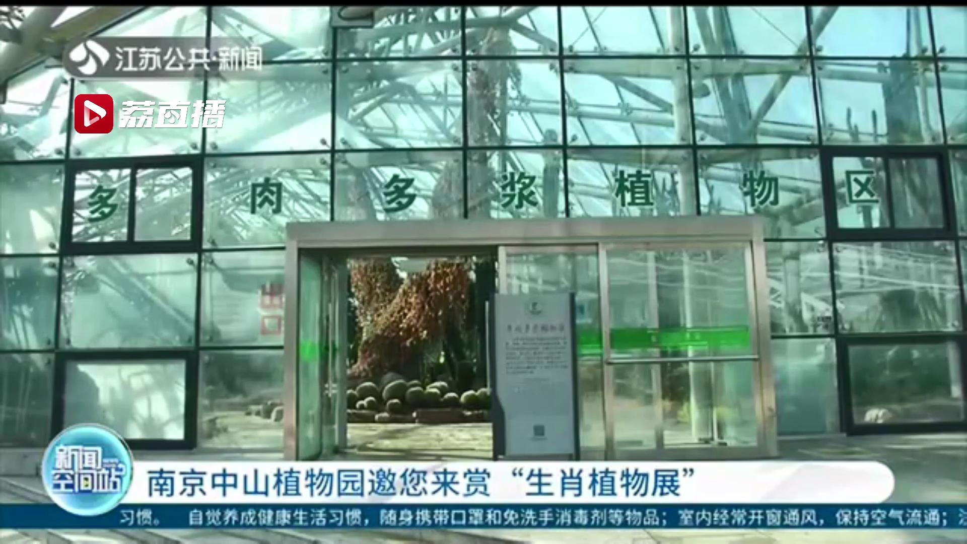 今年大不同 十二生肖植物一起登场！南京中山植物园邀您来赏“生肖植物展”