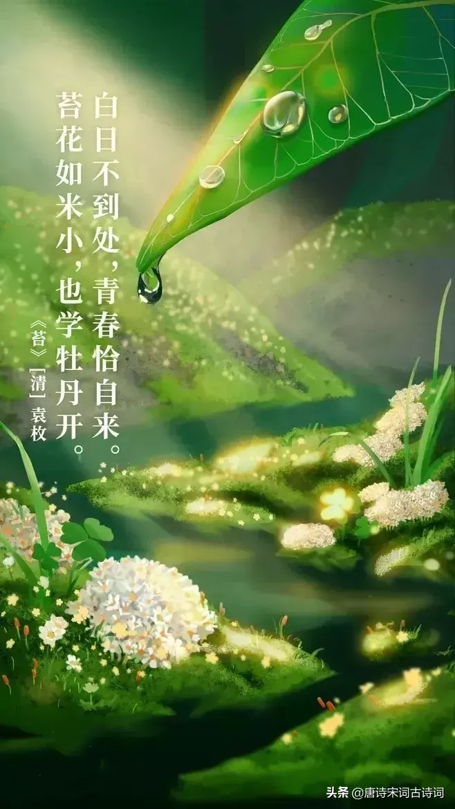 励志诗词:艰难困苦有时尽,人生没有过不去的坎-第2张图片-非凡网 励志诗词:艰难困苦有时尽,人生没有过不去的坎-第2张图片-非凡网