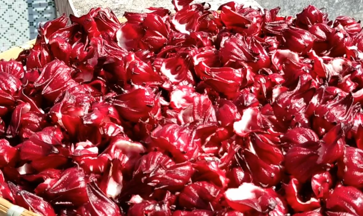 红桃k怎么泡酒好?教你一个简单的做法,补血又美颜