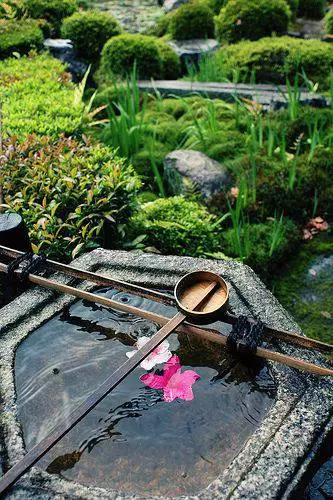 花園改造設計,手把手教你打造最美花園