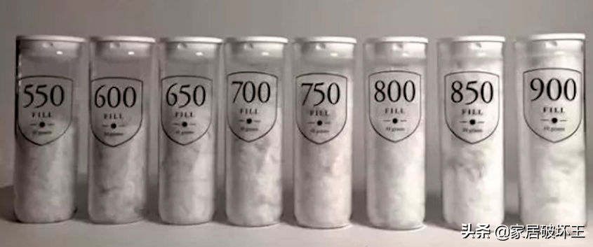 幾百到幾千的羽絨被，到底差在哪里？