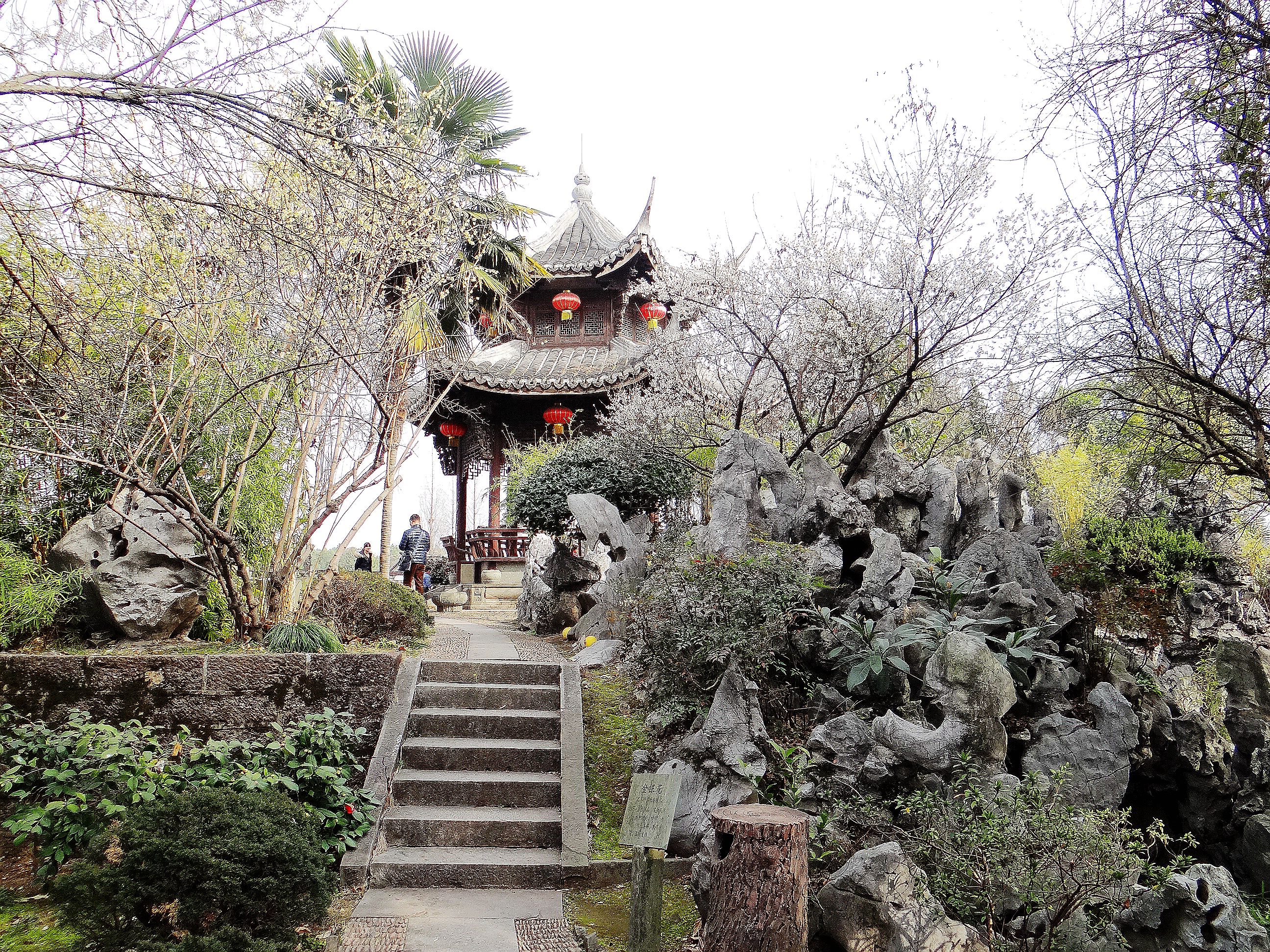 诸葛八卦村构建神奇，后世子孙多以医药为业，这是为了什么原因？