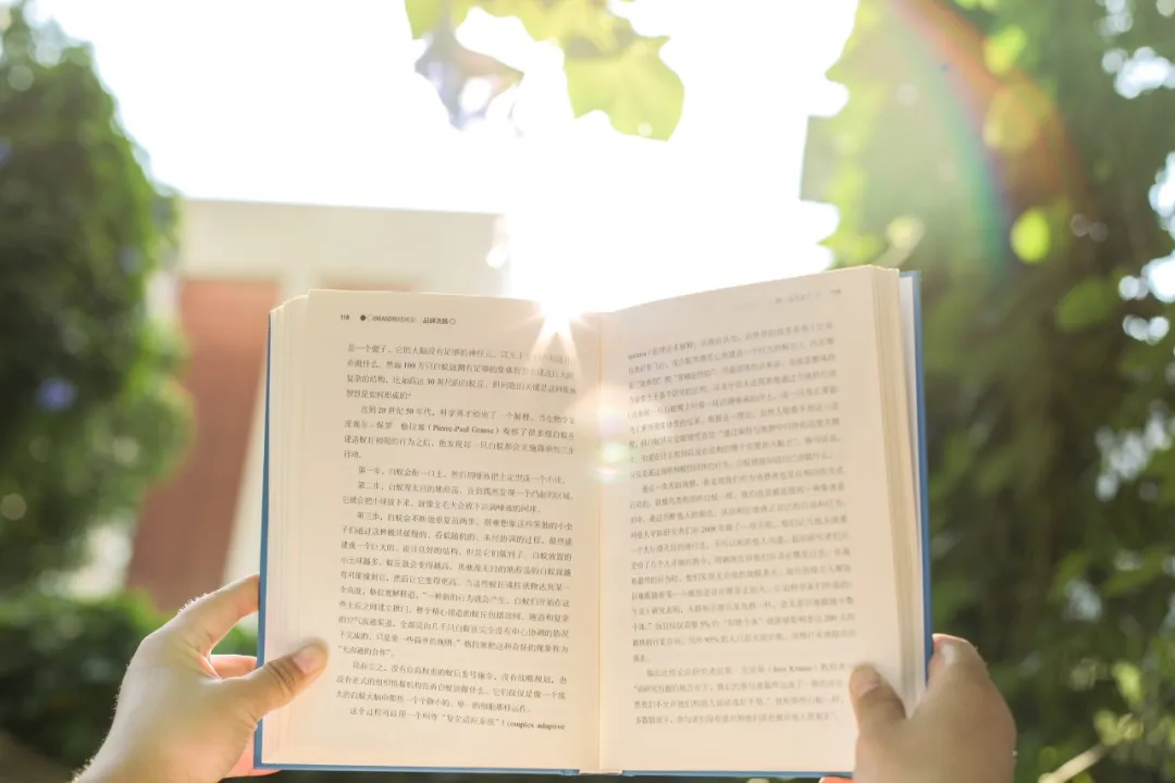 关于励志的诗句名言（励志的句子致自己奋斗） 第11张