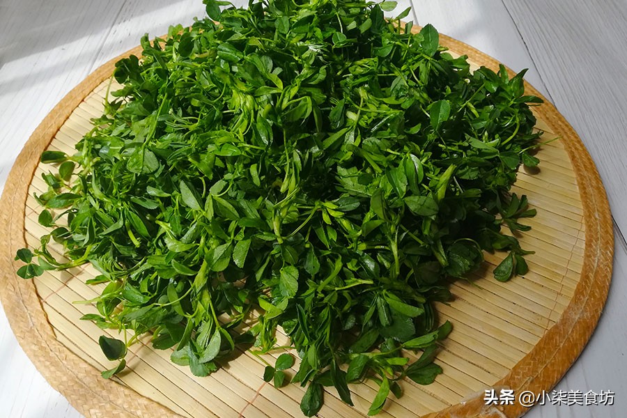 圖片[3]-苜蓿2種吃法 春天不吃又等一年 營養又好吃 大肚腩越吃越小-起舞食譜網