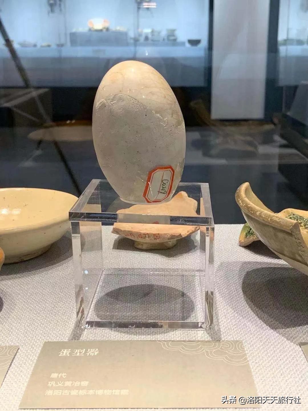 洛阳古瓷标本博物馆，开馆迎客啦
