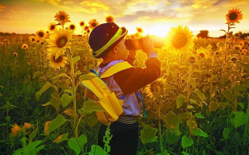 嗯哼和媽媽走散，應對方法堪稱教科書，霍思燕是怎麼做的安全教育