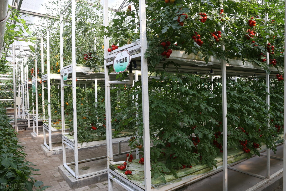现代农业玻璃温室种植有哪些主要的技术指标？