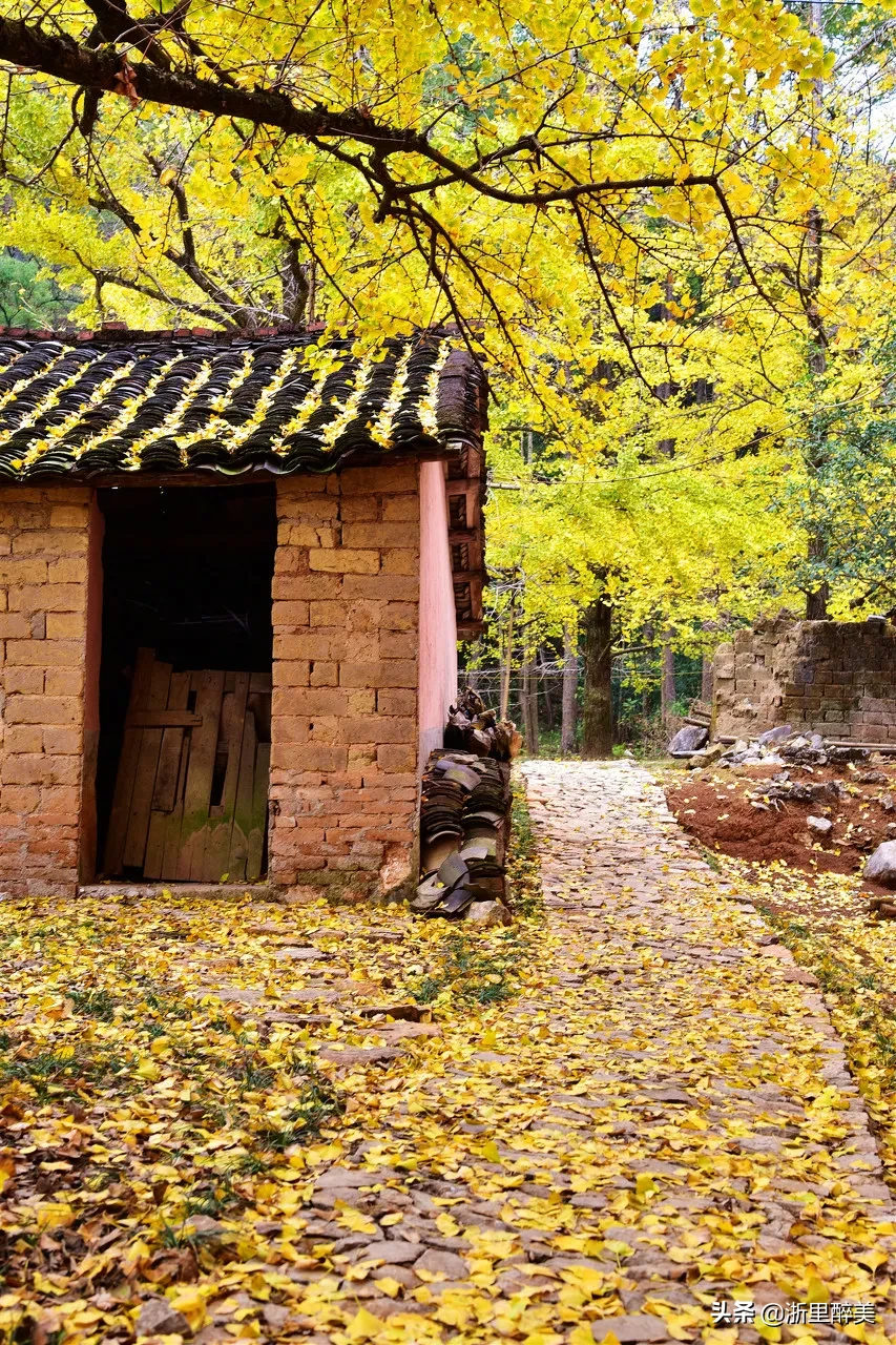 10 ancient towns with beautiful autumn colors, if you are tired, go to stay for a few days