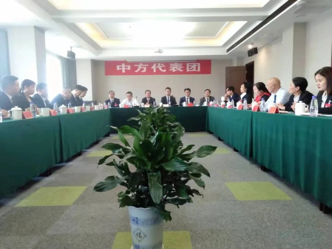 【图片新闻】市五届人大六次会议各代表团举行分组讨论
