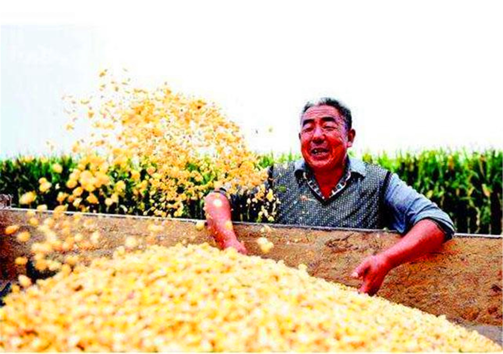 美国专家表示看不懂中国人：中国起点如此低，