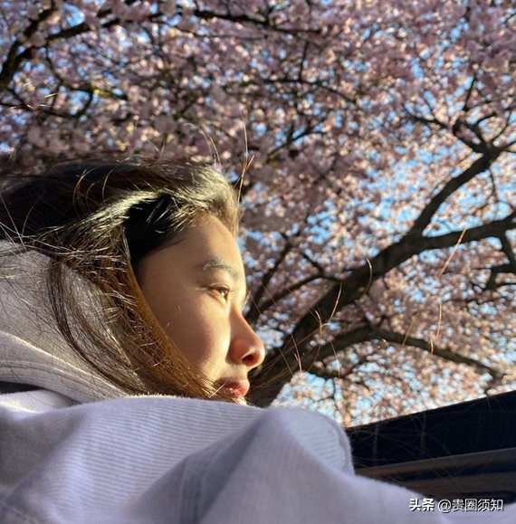 Chen Kun son doubt love of 19 years old, with long hair the belle walks a dog see oriental cherry, sweetness exceeds to inspecting sweet