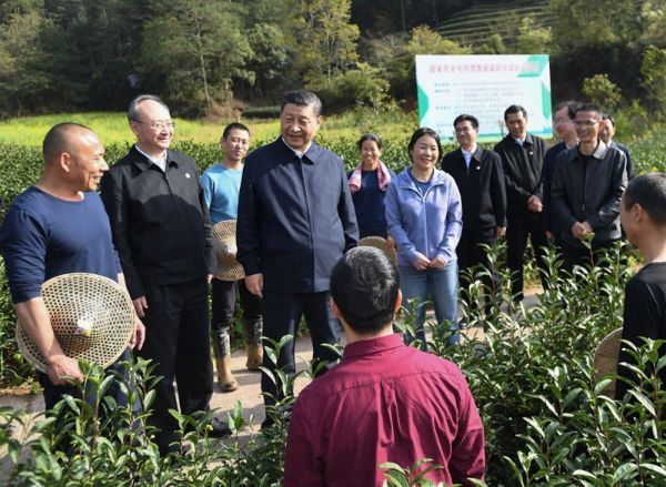 聚力“双循环”谱写茶产业高质量发展新篇章——深入学习贯彻习近平总书记关于茶产业发展的重要指示精神