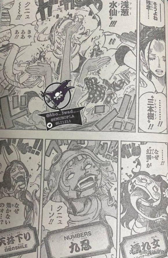 One Piece Chapter 10 In The Japanese Version Robin Singles Out Black Maria And Yamato Is The Real Fruit Of The Illusion Beast Imedia