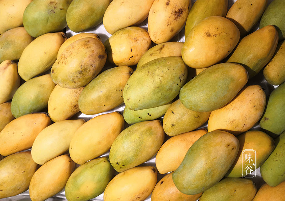 買芒果別只會挑大的，學會這4招，肉厚核薄香又甜，不花冤枉錢