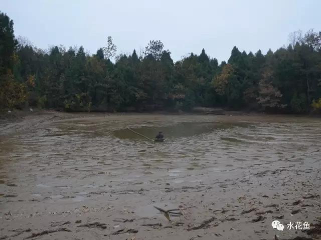 水体溶氧要求与溶氧不足：水中溶解氧的高低是水质好坏的主要指标