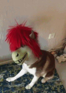 搞笑gif神评:女友首次开车上路,让人操碎了心