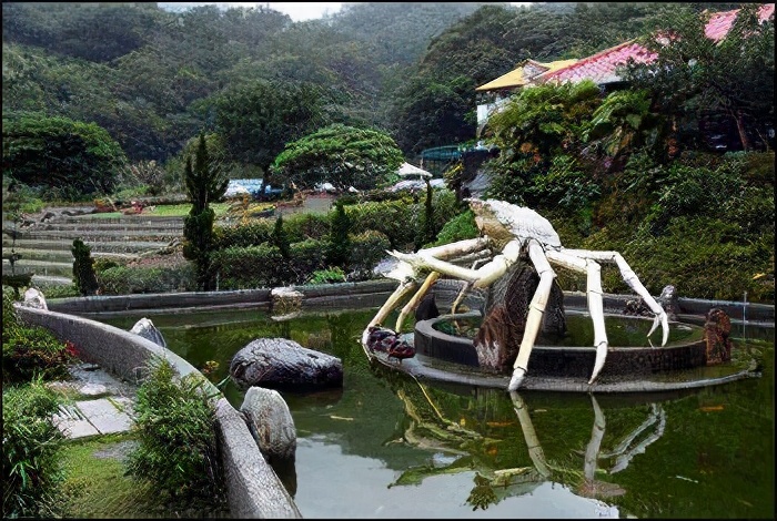 農(nóng)旅項(xiàng)目升級：休閑農(nóng)業(yè)體驗(yàn)產(chǎn)品策劃與鄉(xiāng)村網(wǎng)紅場景打造