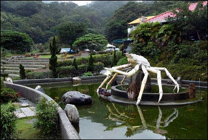 农旅项目升级：休闲农业体验产品策划与乡村网红场景打造