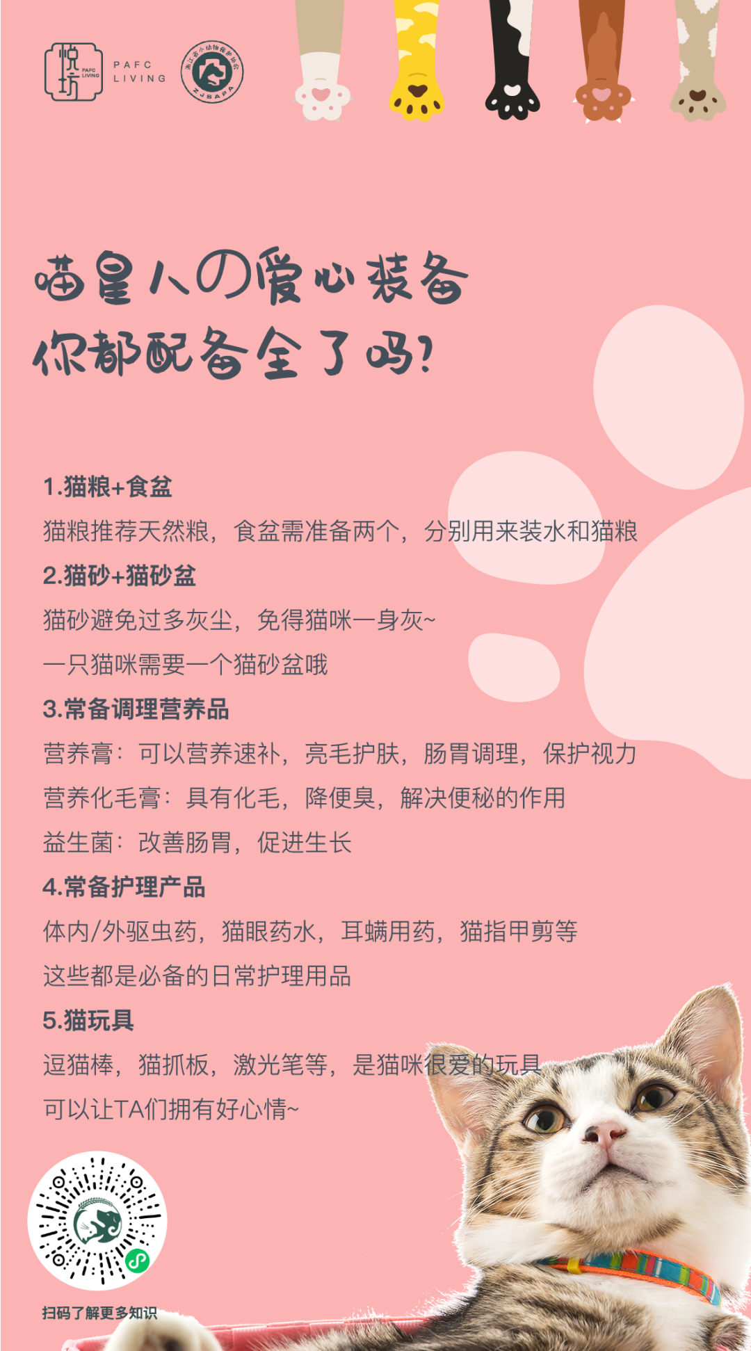 温馨暖冬计划开启，一起为流浪的毛孩子们加油
