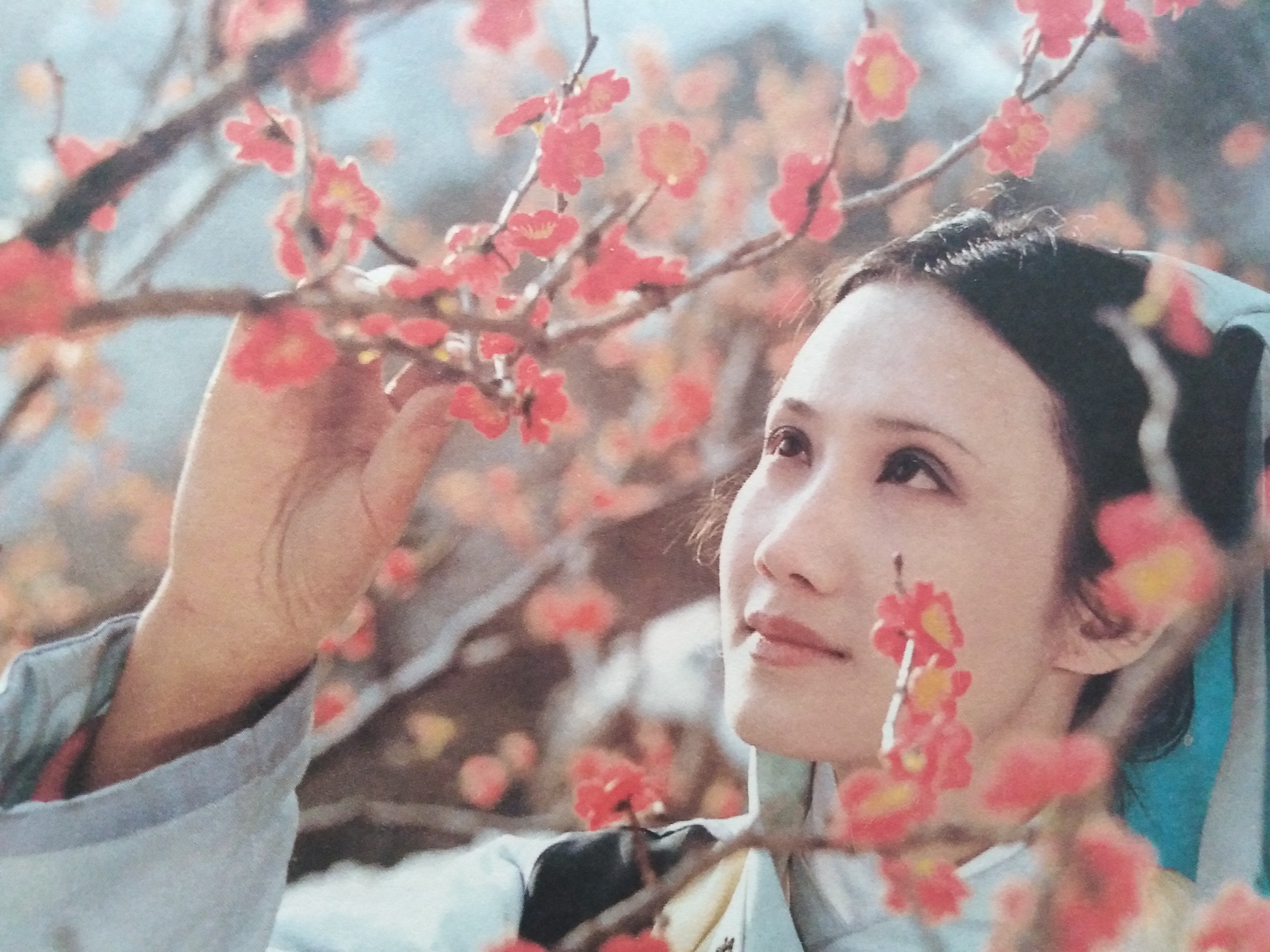 刘姥姥喝过的茶杯，妙玉为何嫌脏？宝玉：她没有嫌贫爱富