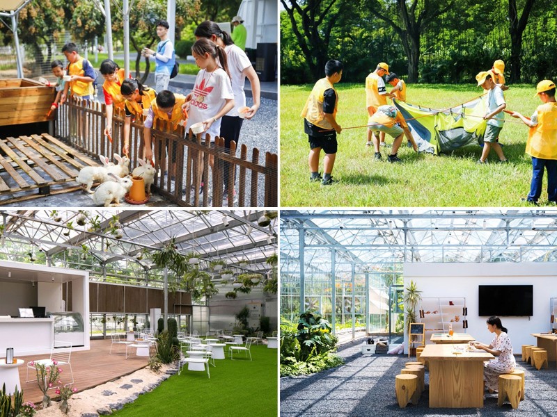 以运营推导设计,璞生活这个老牌研学基地变身网红文旅打卡地
