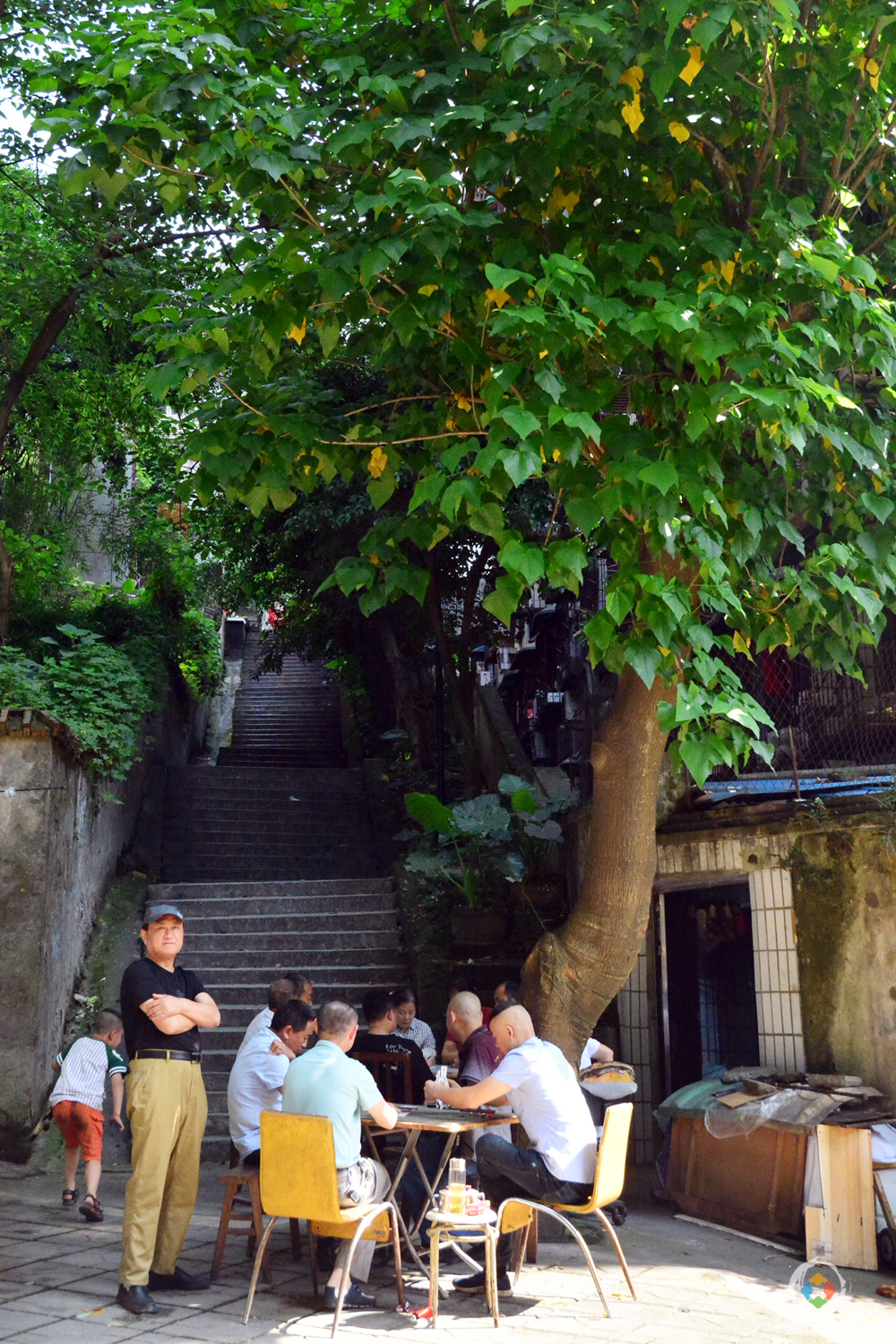 重庆城的日新月异，直辖23年之后，一直在变，却又一直没变