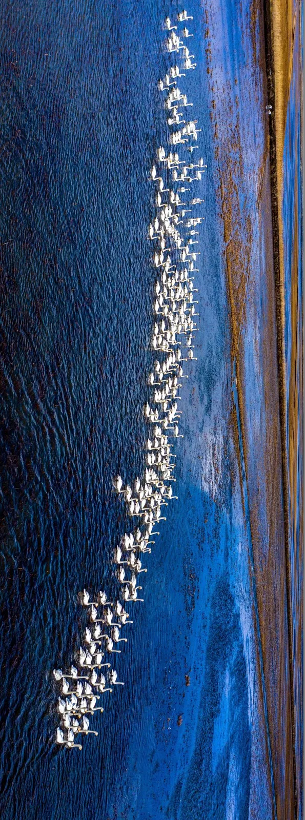 黑土湿地之都 | 诗画饶河 魅力边城