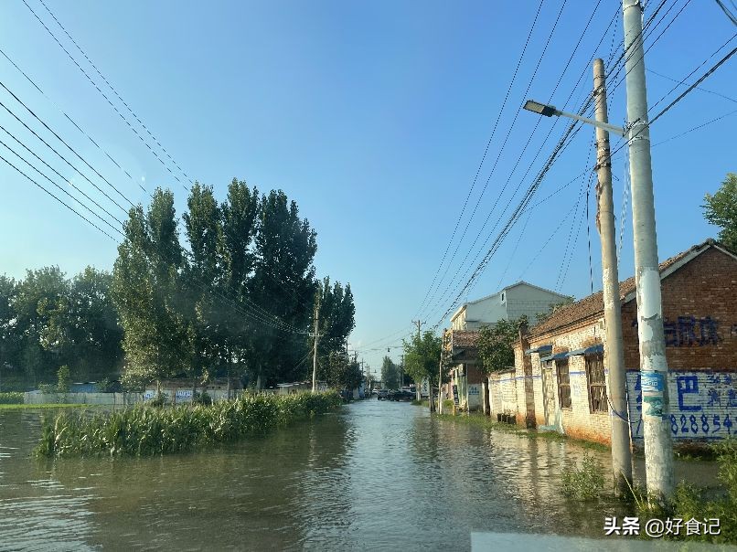 水再深，也要回家乡看一眼