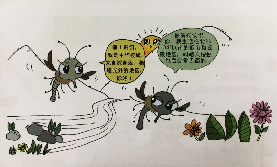 今年你被咬了吗？知己知彼，夏日战蚊必读