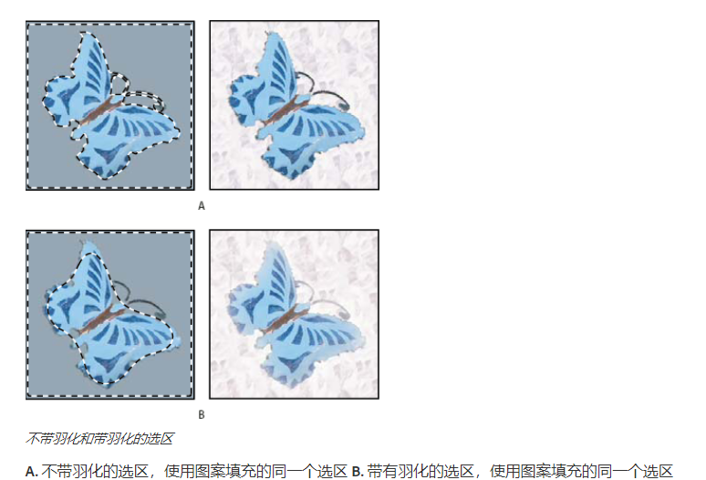 「Adobe國際認證」Adobe Photoshop使用選框工具進行選擇