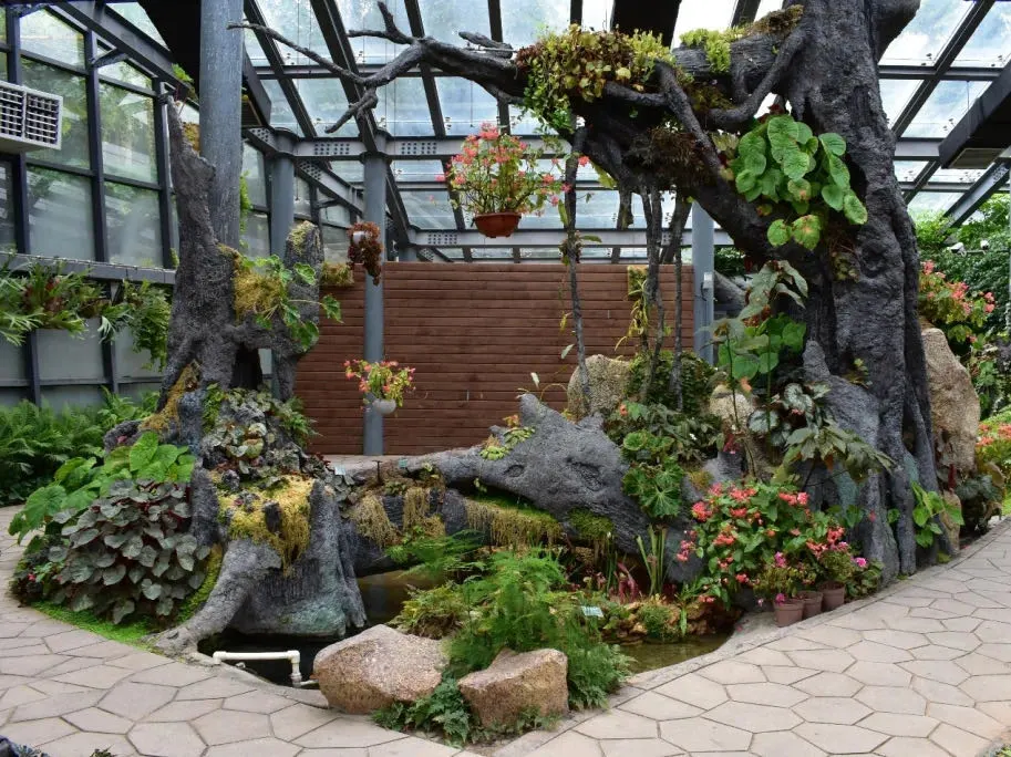 植物园雨林雾森时间调整,还将有这些变化