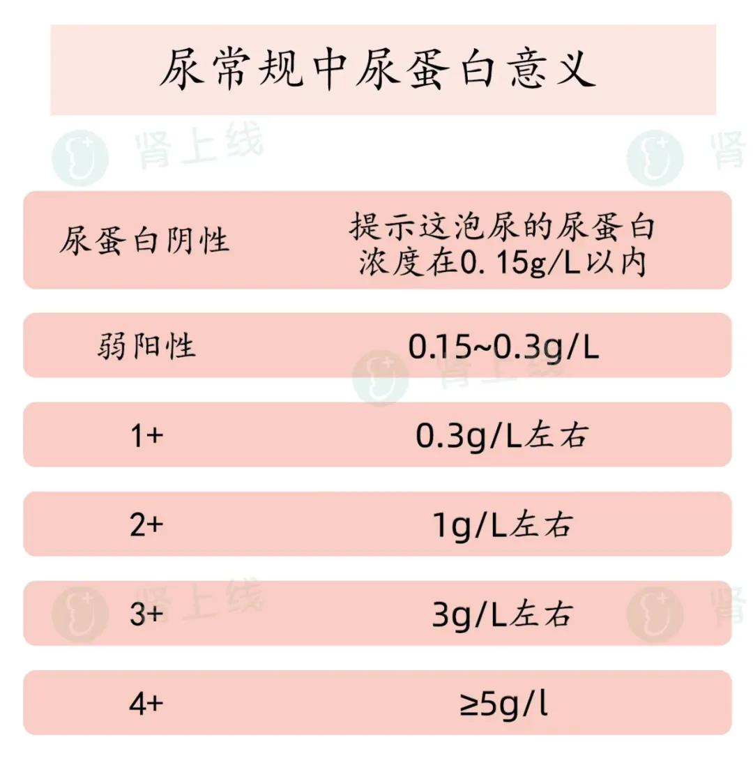 北京清华长庚医院检验前质量控制之男性患者尿培养标本采集篇-健康教育-清华大学附属北京清华长庚医院检验医学科