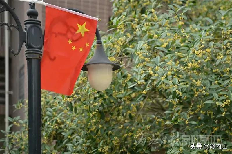 美滴很!内江换上“国庆限定皮肤”——
